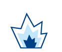 fire damage icon