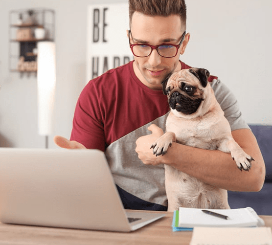 Good pets for apartment or college dorm room