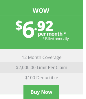 Wow Plan