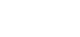 NSSI Logo